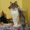 Отзыв от Елизавета Мартынова